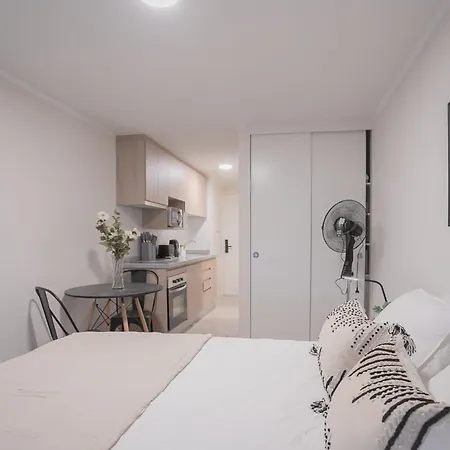 Hermoso Studio En El Corazon De Santiago Apartment